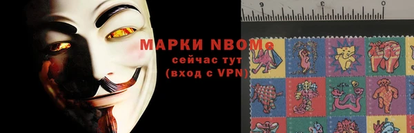 стаф Алексин