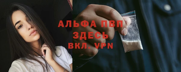 стаф Алексин