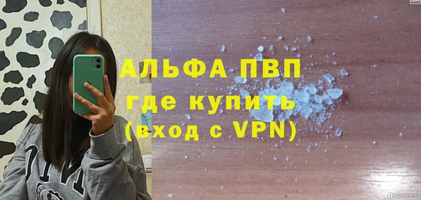 стаф Алексин