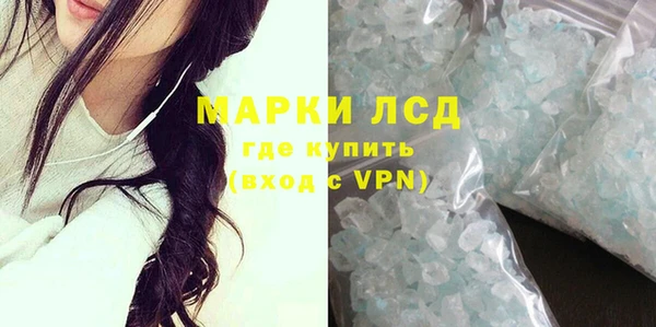 стаф Алексин
