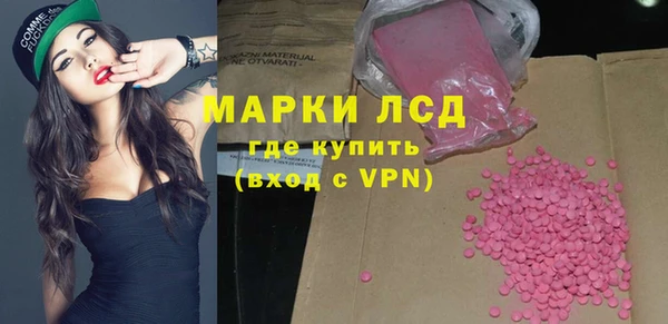 стаф Алексин